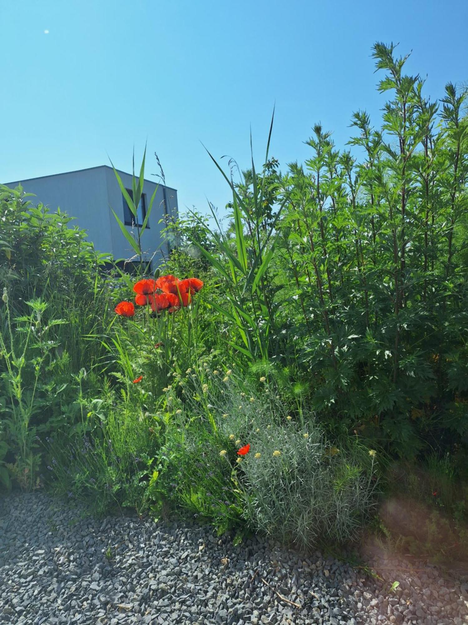 Luxury Suites Oosterwold Almere Exterior foto